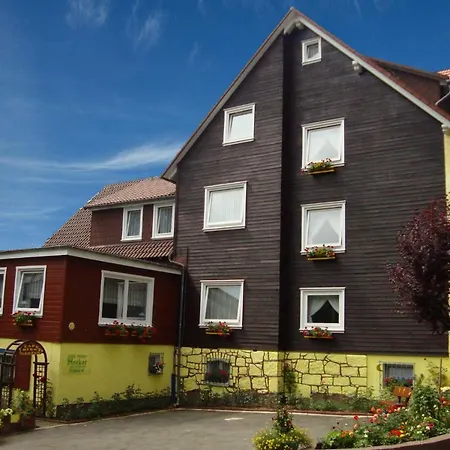 Hecker Hotel 3*