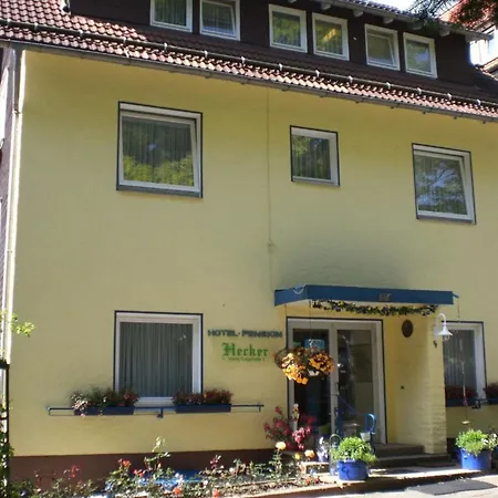 Hotel Hecker 3*